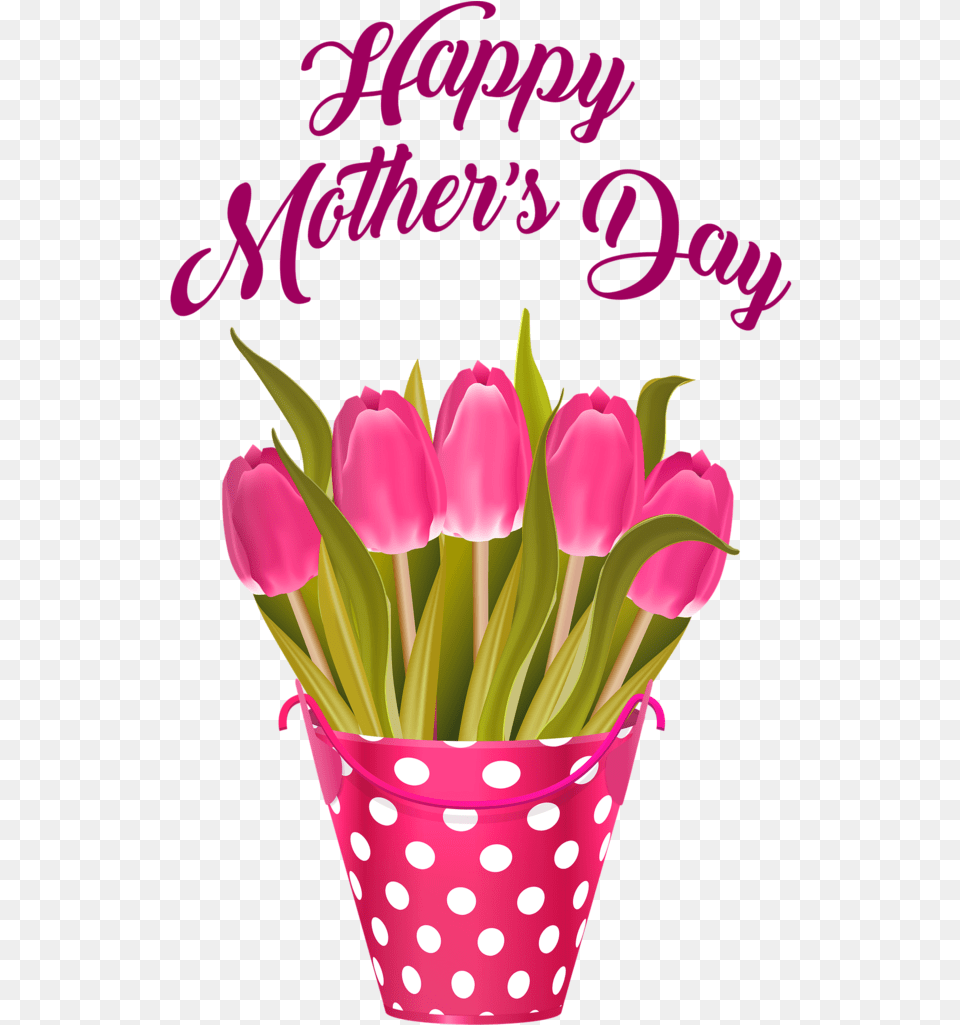 Happy Motherquots Day Happy Mothers Day, Flower, Plant, Petal, Pattern Png Image