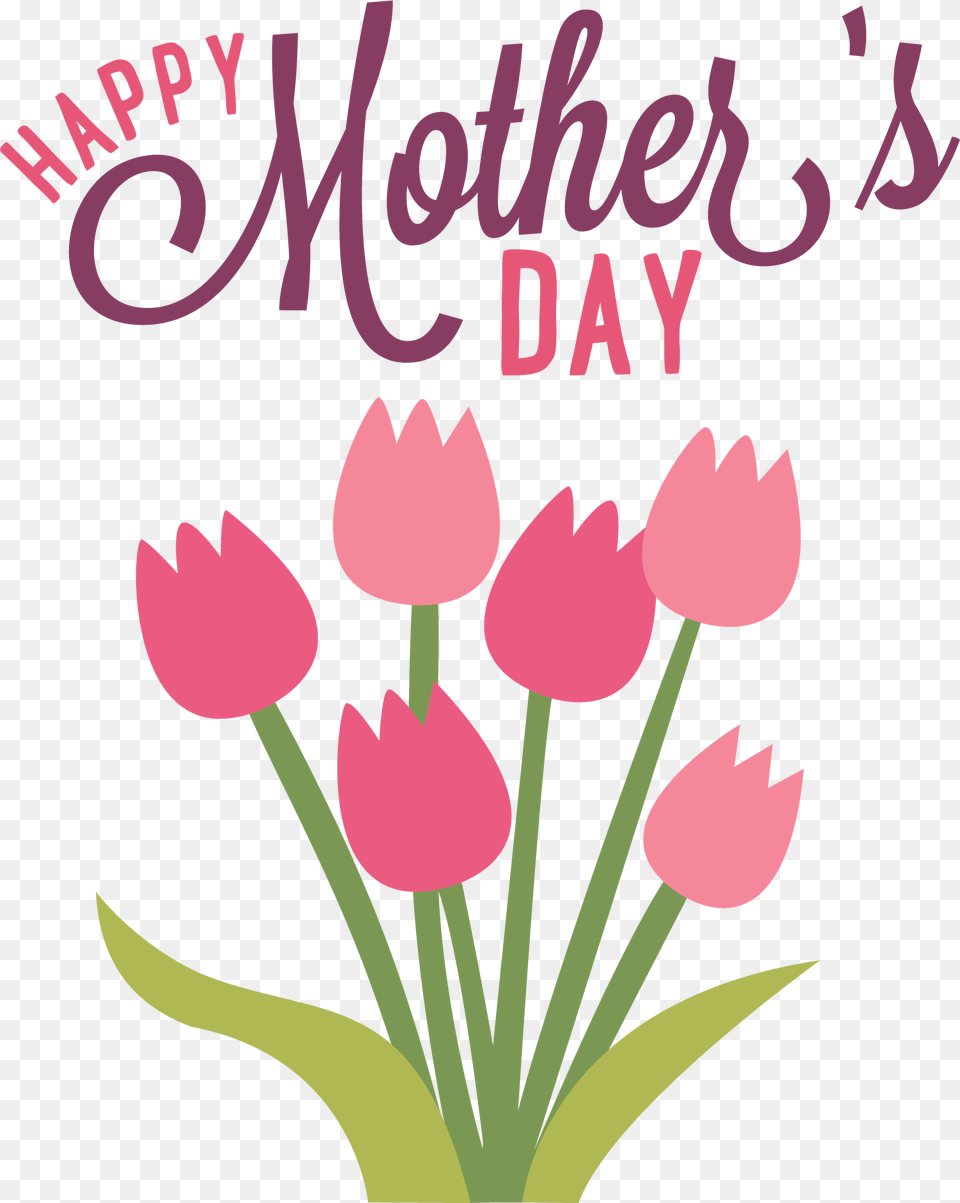 Happy Mothers Day Flowers, Flower, Petal, Plant, Envelope Png Image