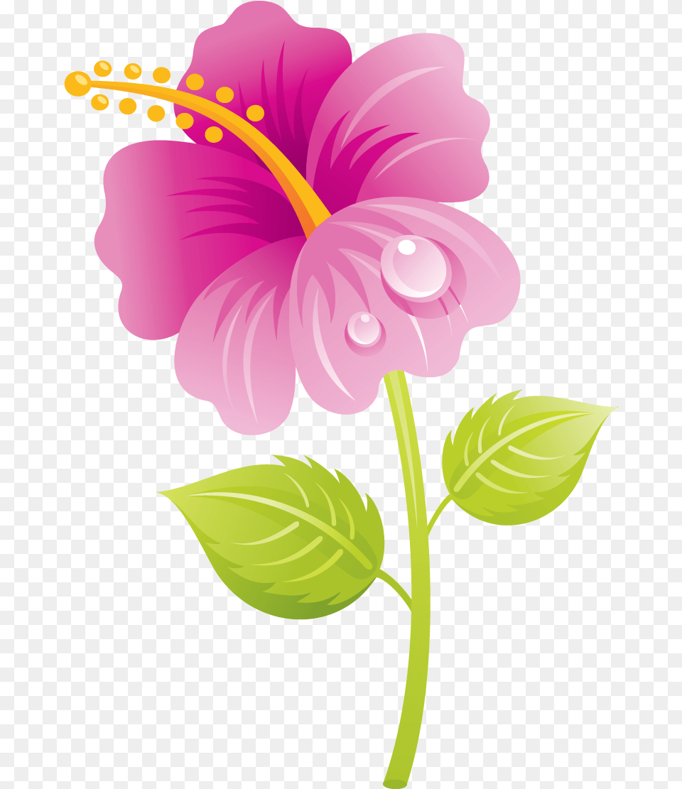 Happy Mothers Day Nanna, Flower, Plant, Hibiscus, Anther Free Transparent Png