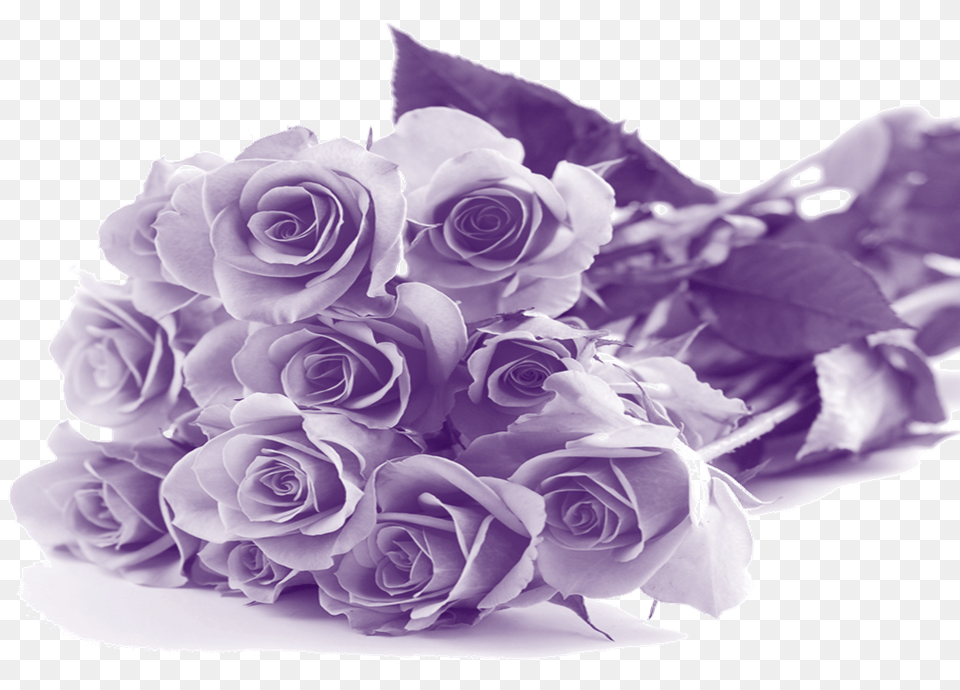 Happy Mothers Day Purple Flowers, Flower, Flower Arrangement, Flower Bouquet, Plant Free Png