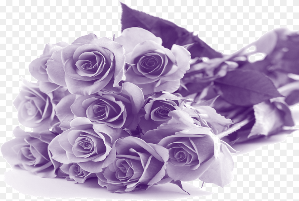 Happy Mothers Day Purple Flowers Mother39s Day Flowers, Flower, Flower Arrangement, Flower Bouquet, Plant Free Png Download