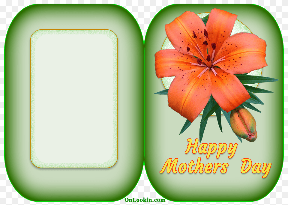 Happy Mothers Day Tiger Lily Flower Onlookin, Plant, Anther, Envelope, Greeting Card Free Png Download