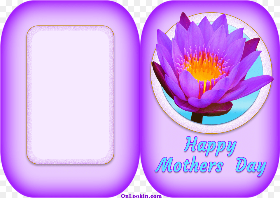 Happy Mothers Day Violet Lily Water Lily, Flower, Plant, Purple, Petal Png Image