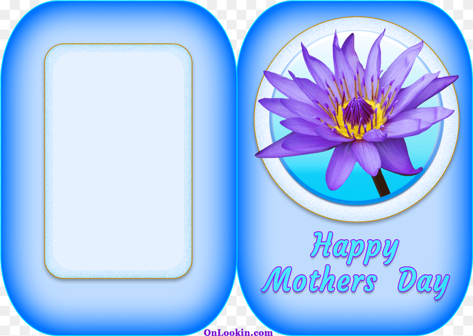 Happy Mothers Day Water Lily Flower Clip Art Transparent Background Mother39s Day, Plant, Purple, Pond Lily, Anther Png Image