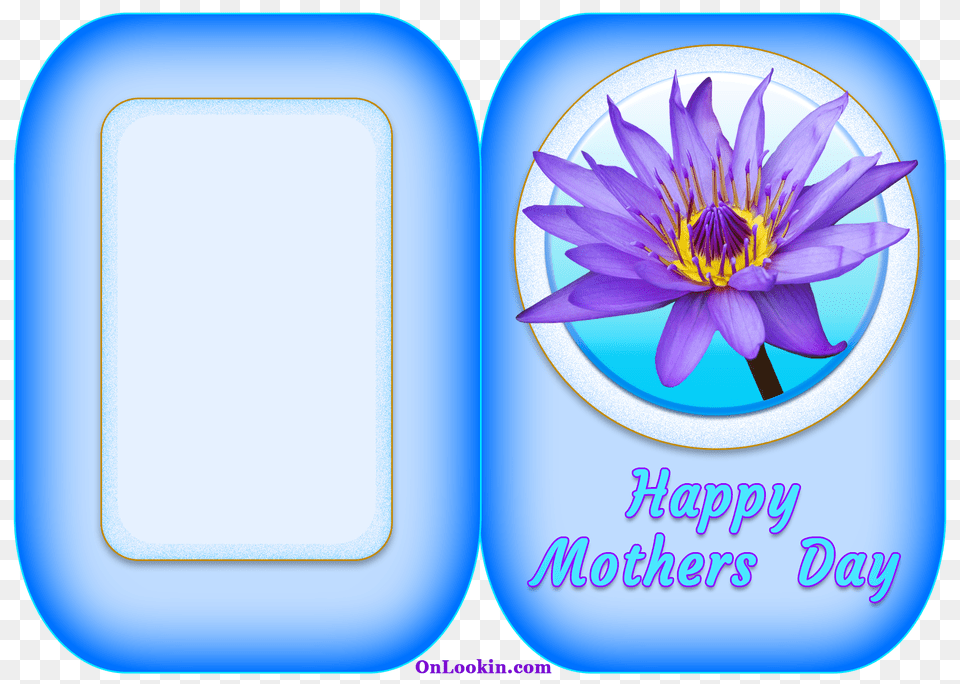 Happy Mothers Day Water Lily Flower Onlookin, Plant, Purple, Pond Lily, Anther Png