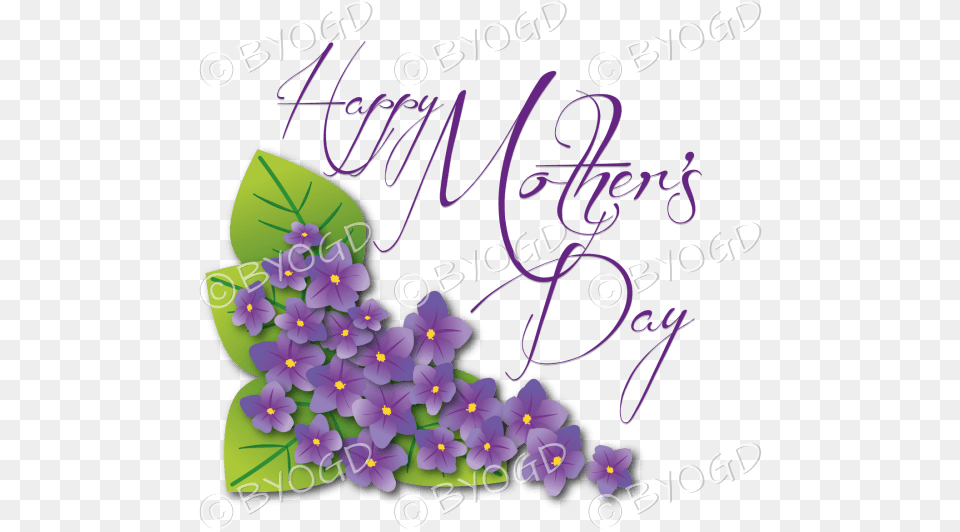 Happy Mothers Day With Purple Violets Happy Mothers Day With Violets, Envelope, Greeting Card, Mail, Flower Free Png Download