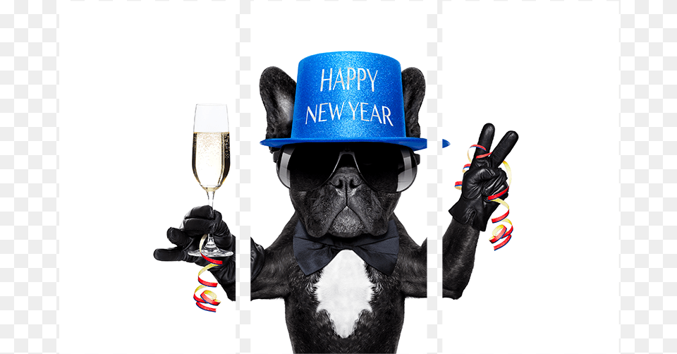 Happy New Year Dog, Glove, Collage, Clothing, Art Free Png