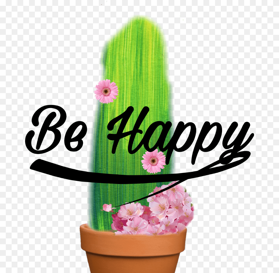 Happy New Year Flower Background 2019, Flower Arrangement, Petal, Plant, Potted Plant Png