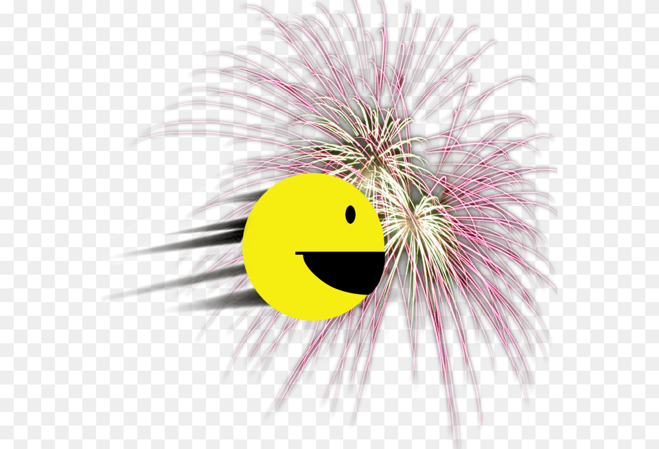 Happy New Year Smiley, Fireworks, Plant Free Png Download