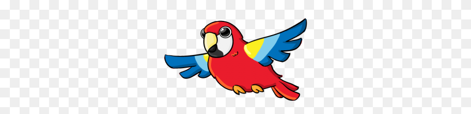 Happy Parakeets Cliparts, Animal, Bird, Parrot, Beak Png