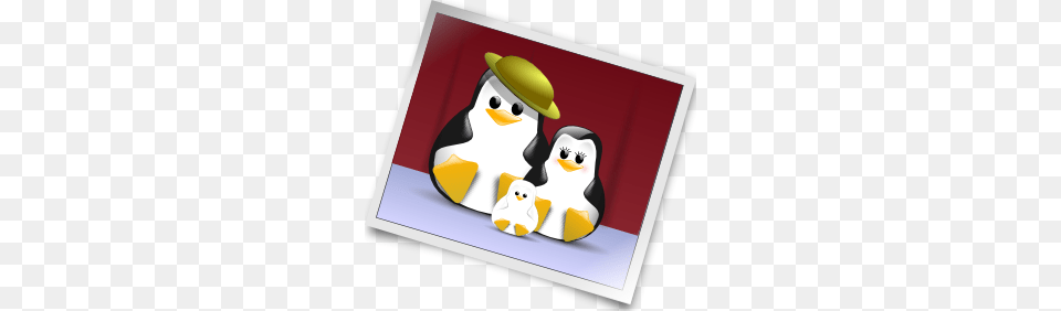 Happy Penguins Family Photo Clip Art, Nature, Outdoors, Winter, Animal Png