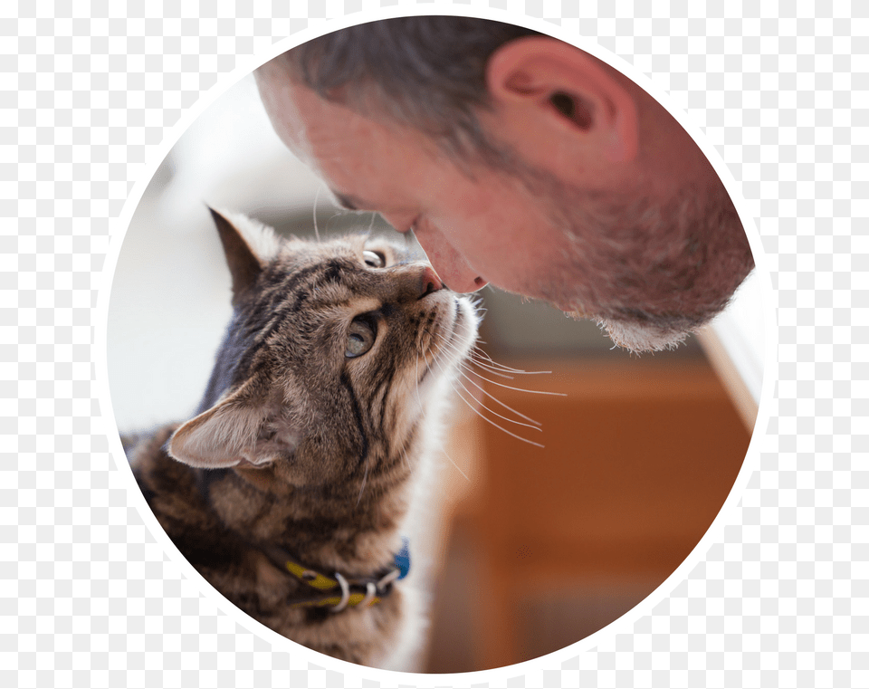 Happy Person With Cat, Photography, Man, Male, Adult Free Transparent Png