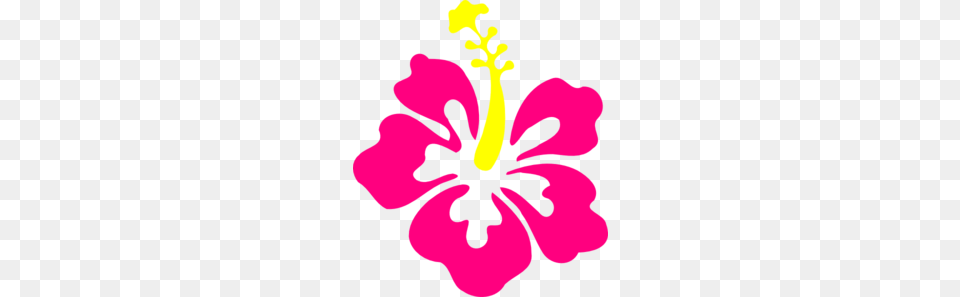 Happy Pink Hibiscus Clip Art, Flower, Plant, Person Png
