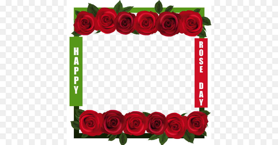 Happy Rose Day Frame, Flower, Plant, Envelope, Greeting Card Free Png