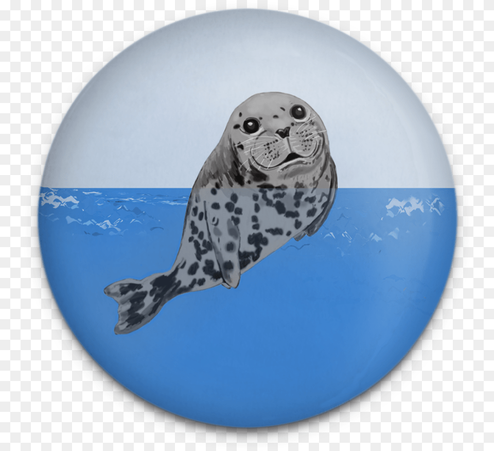 Happy Seals Magnet Set Harbor Seal, Animal, Mammal, Sea Life, Bird Png Image