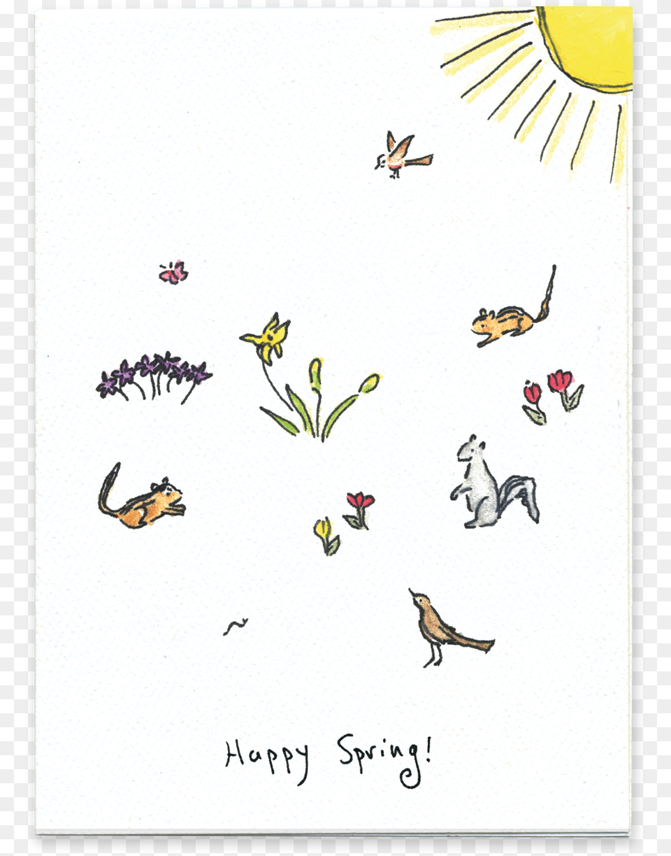 Happy Spring Tree Frog, Pattern, Animal, Bird, Plant Free Png
