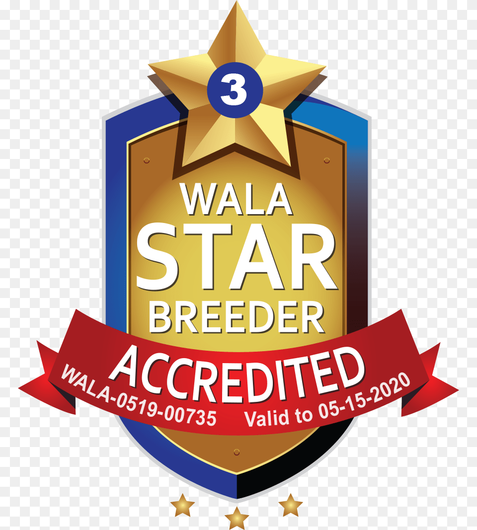 Happy Tails Wala Star Logo 0519 Labradoodle, Badge, Symbol, Dynamite, Weapon Free Png Download