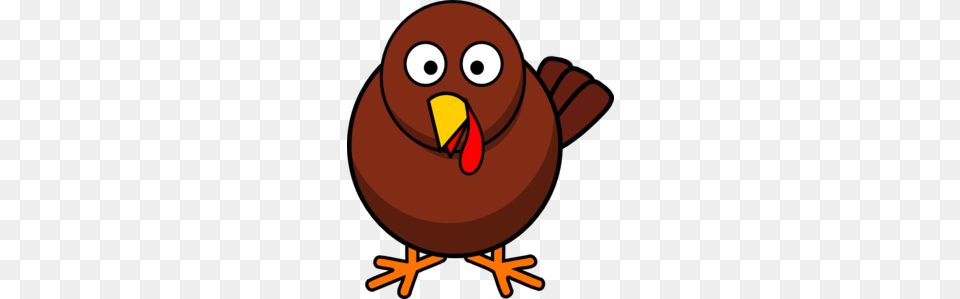 Happy Thanksgiving, Animal, Beak, Bird Png