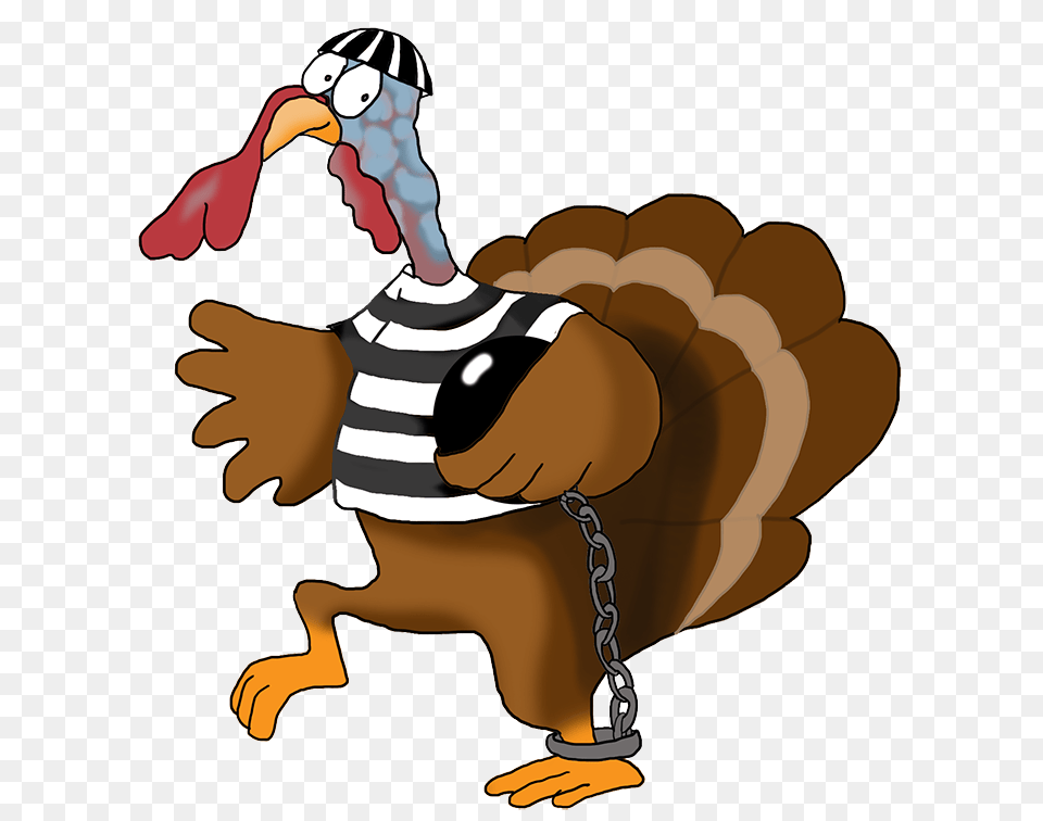 Happy Thanksgiving Clipart, Animal, Poultry, Fowl, Bird Png Image