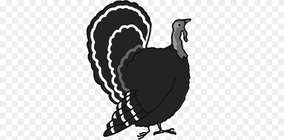 Happy Thanksgiving Clipart, Animal, Bird, Fowl, Poultry Png