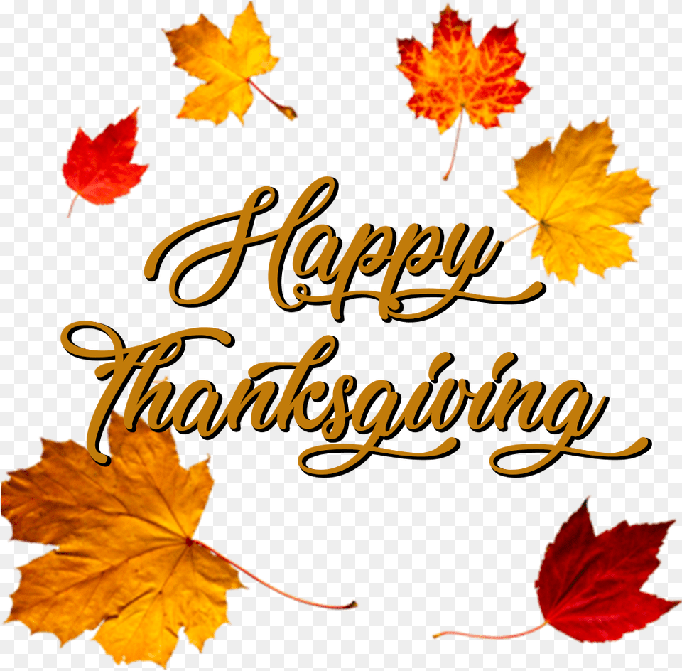 Happy Thanksgiving Crown Of Autumn Leaves, Leaf, Plant, Tree, Maple Free Png