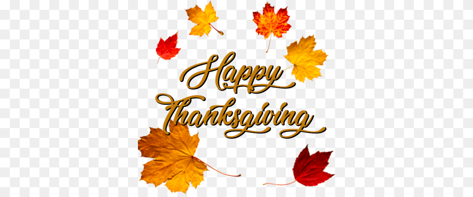 Happy Thanksgiving Crown Of Autumn Leaves Autumn Leaves, Leaf, Plant, Tree, Maple Free Transparent Png