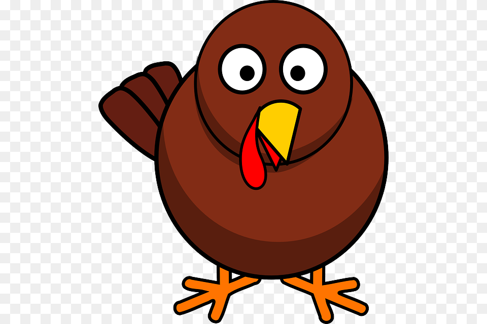 Happy Thanksgiving Turkey, Animal, Beak, Bird, Nature Png