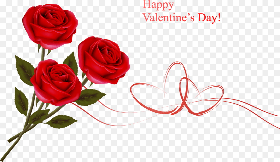 Happy Valentine Day Themes, Flower, Plant, Rose Png