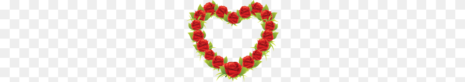 Happy Valentines Day, Rose, Plant, Flower, Pattern Free Transparent Png