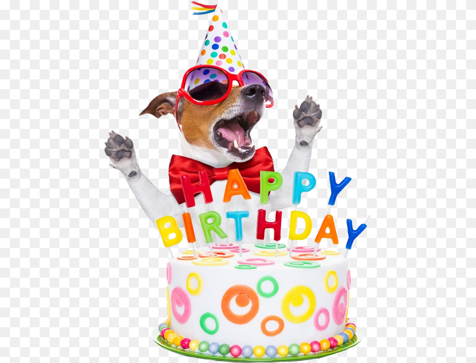 Happybirthday Birthday Birthdaycandles Wish Dog Happy Birthday Summer Dog, Birthday Cake, Cake, Clothing, Cream Png Image