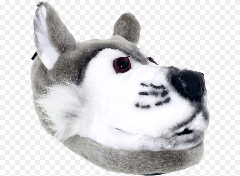 Happyfeet Animal Slippers Small Wolf Icon, Canine, Dog, Husky, Mammal Png Image