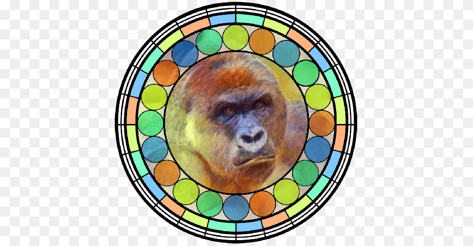 Harambe Bibleofmeme Wikia Fandom Powered, Art, Animal, Mammal, Monkey Free Transparent Png