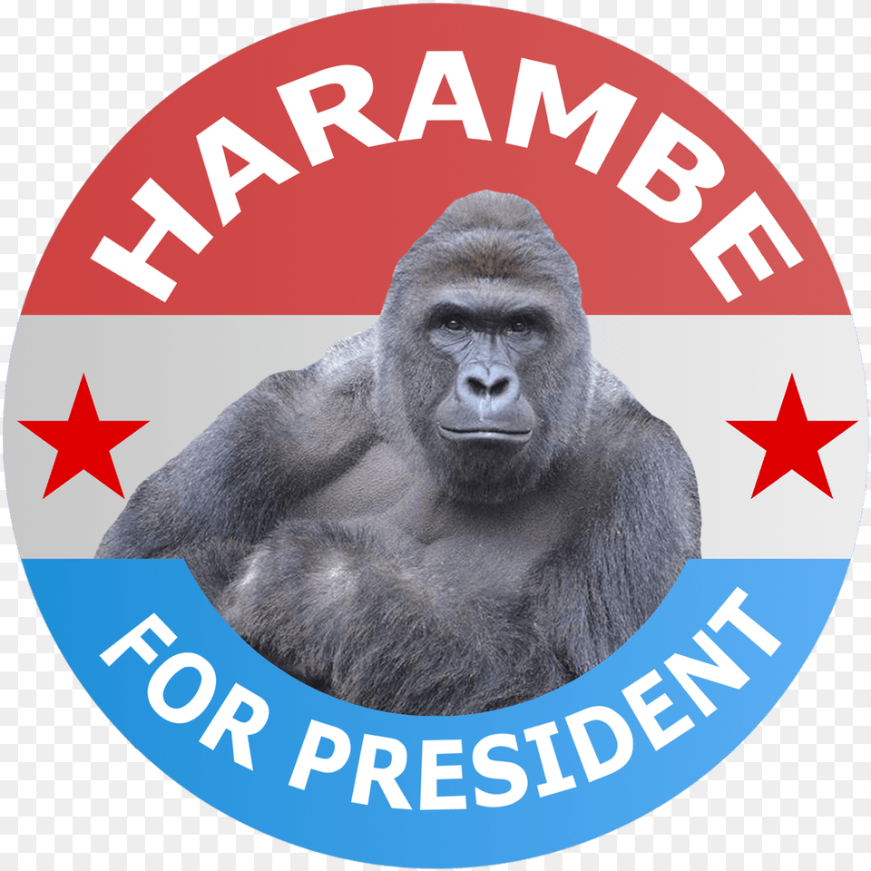 Harambe For President Harambe President, Animal, Ape, Mammal, Monkey Free Png Download
