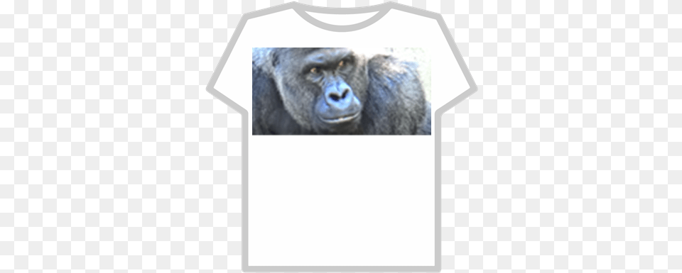 Harambe Goku Ssj4 T Shirt Roblox, Animal, Ape, Mammal, Wildlife Free Png