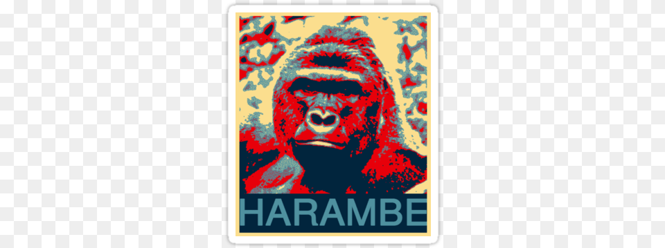 Harambe Gorilla, Animal, Ape, Mammal, Wildlife Free Transparent Png