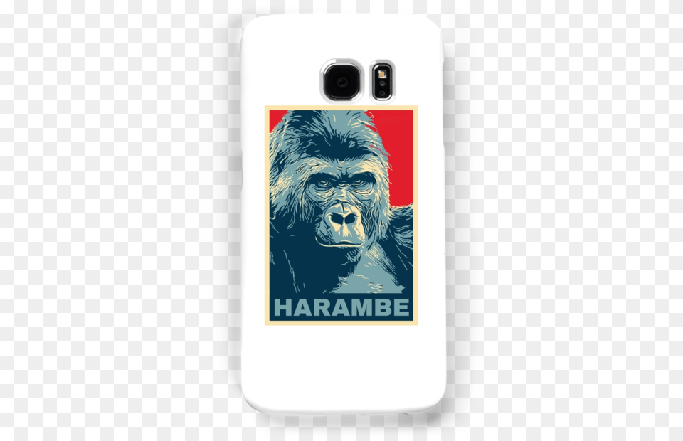Harambe Image With No Harambe Art, Animal, Ape, Mammal, Wildlife Free Transparent Png