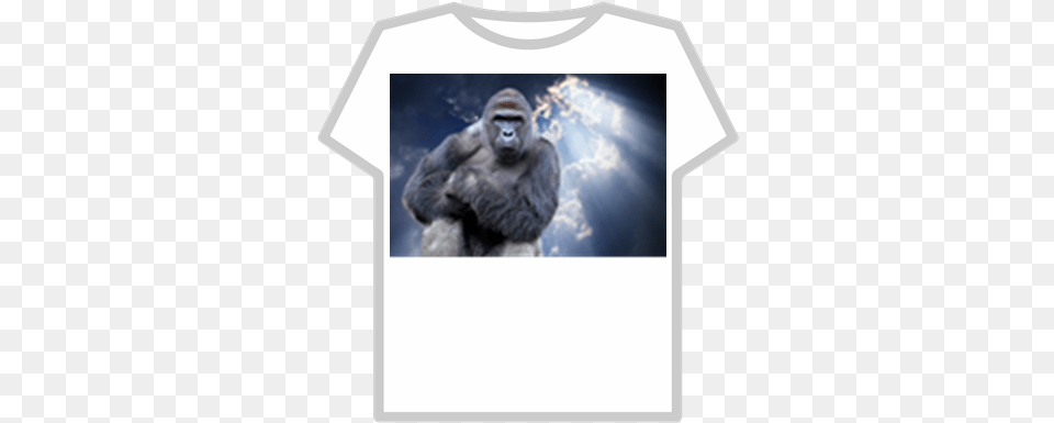 Harambe Roblox Adidas T Shirt, Animal, Ape, Mammal, Wildlife Png