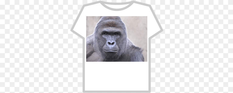 Harambe Roblox Harambe Meme, Animal, Ape, Mammal, Monkey Png Image