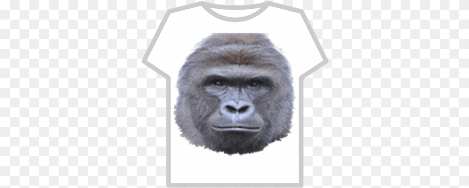 Harambe T Shirt Roblox Roblox Muscle T Shirt Animal, Ape, Mammal, Wildlife Free Png Download