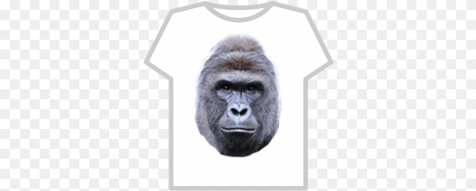 Harambe Roblox Harambe The Gorilla, Animal, Ape, Mammal, Wildlife Free Transparent Png