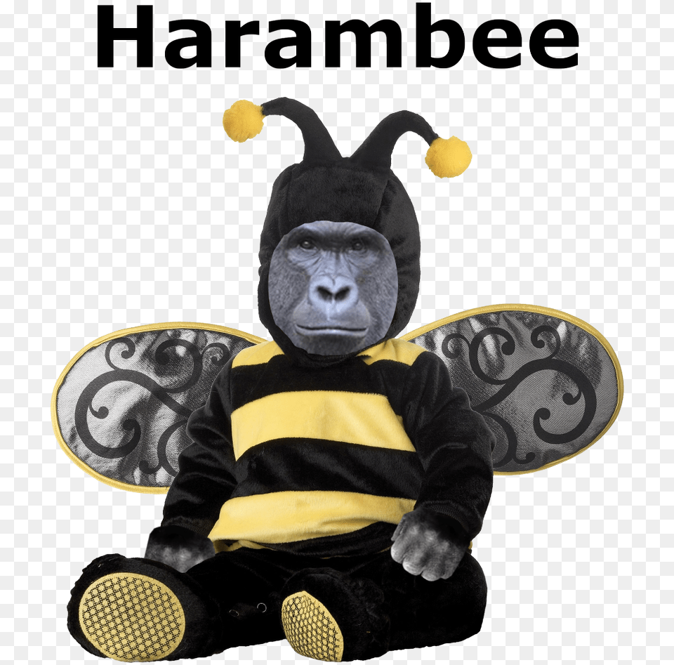 Harambism Bee Costume For Baby Boy, Animal, Mammal, Monkey, Wildlife Free Png