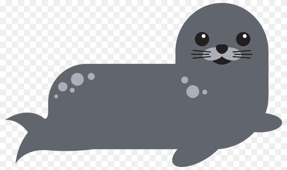 Harbor Seal Clipart, Animal, Sea Life, Fish, Shark Free Png