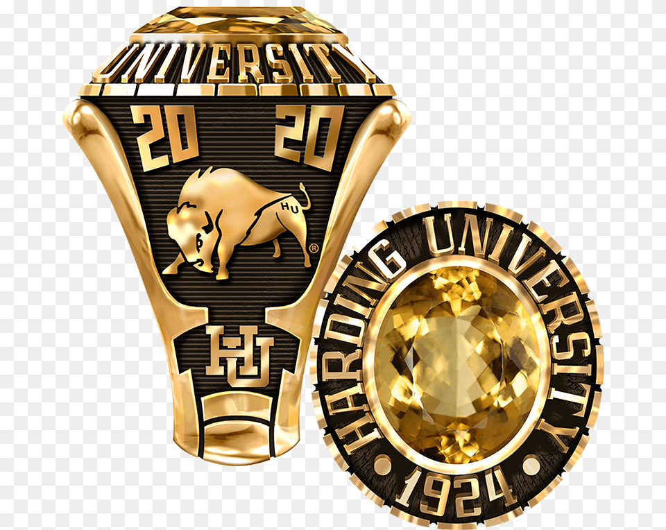 Harding University Mens 876l1 Solid, Badge, Logo, Symbol, Wristwatch Png