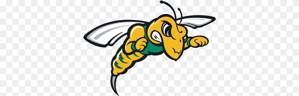 Hardrocker Vs Yellow Jackets Game To Be Yellow Jacket Black Hills State University, Animal, Invertebrate, Insect, Wasp Free Transparent Png