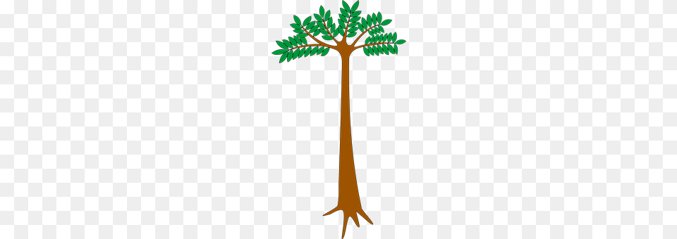 Hardwood Vegetation, Tree, Leaf, Plant Free Png Download