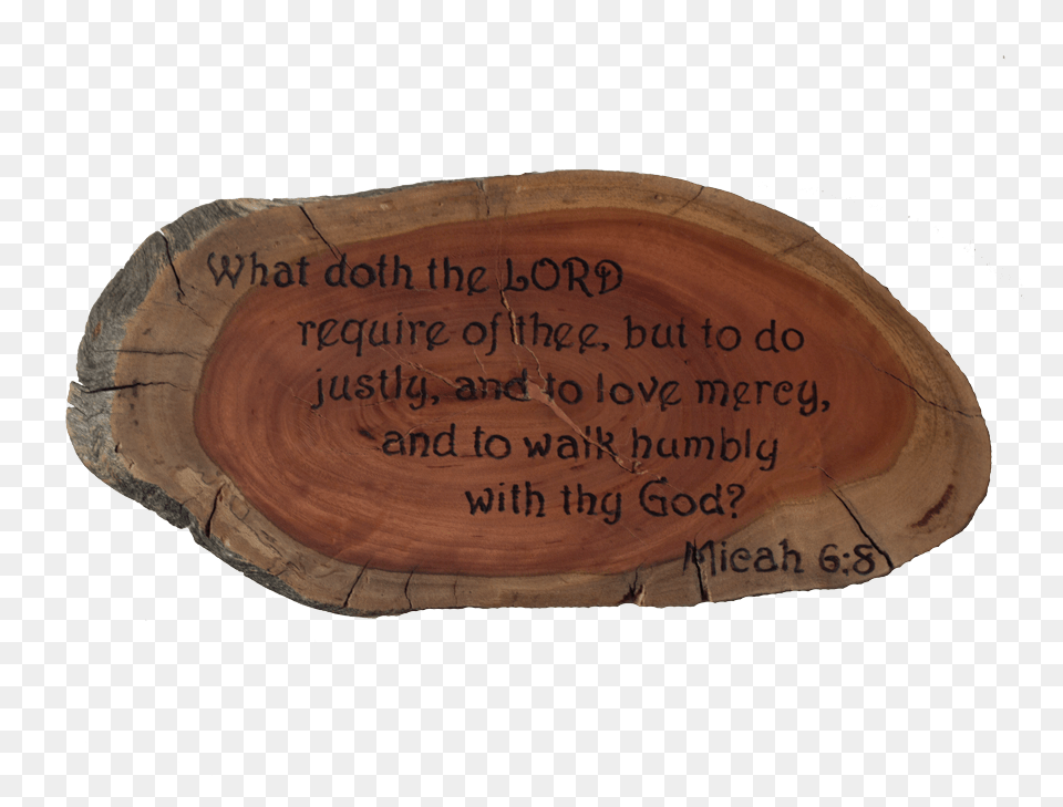 Hardwood, Wood Png