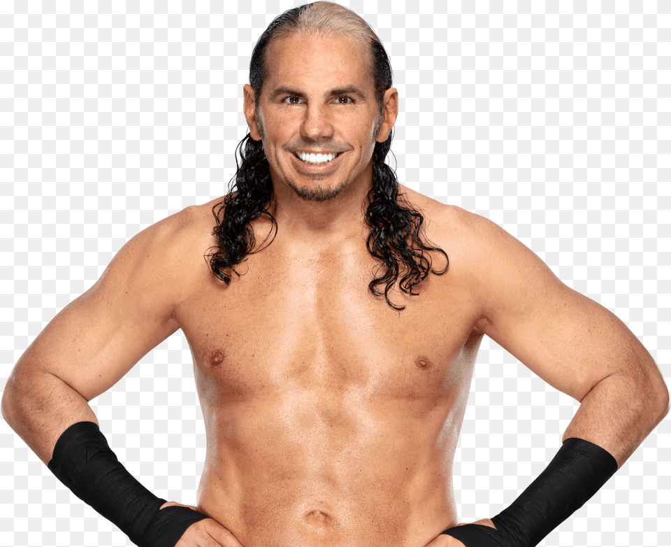 Hardy Boyz, Animal, Butterfly, Insect, Invertebrate Free Transparent Png