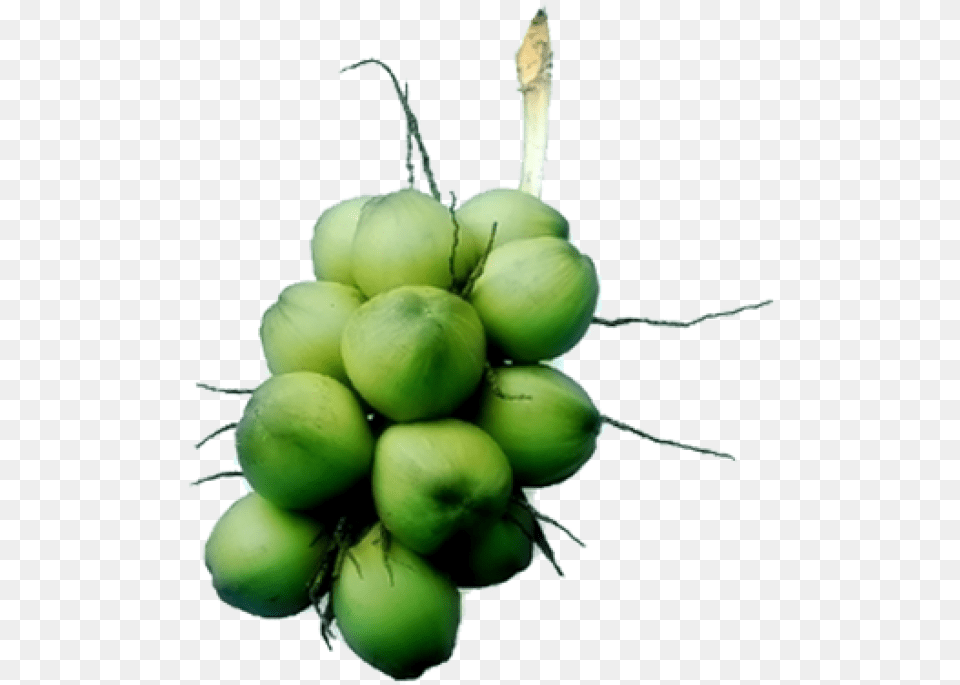 Hardy Kiwi, Food, Fruit, Plant, Produce Png