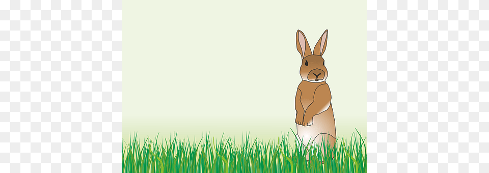 Hare Grass, Plant, Animal, Mammal Png