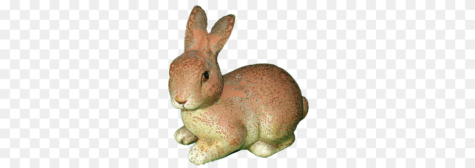 Hare Animal, Mammal, Rabbit Free Png